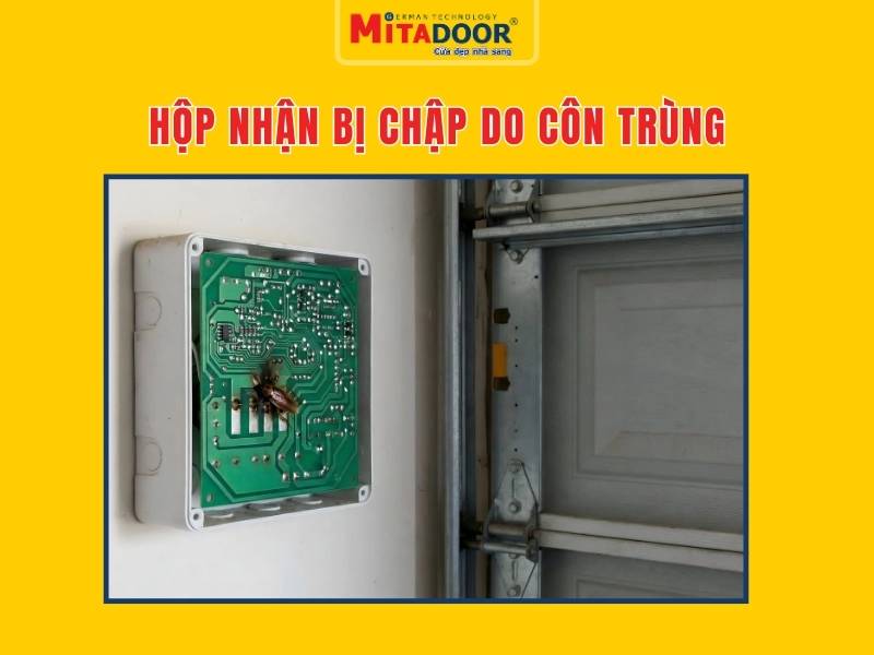 Cửa cuốn kh&ocirc;ng hoạt động d&ugrave; c&oacute; cắm điện do c&ocirc;n tr&ugrave;ng trong bo mạch
