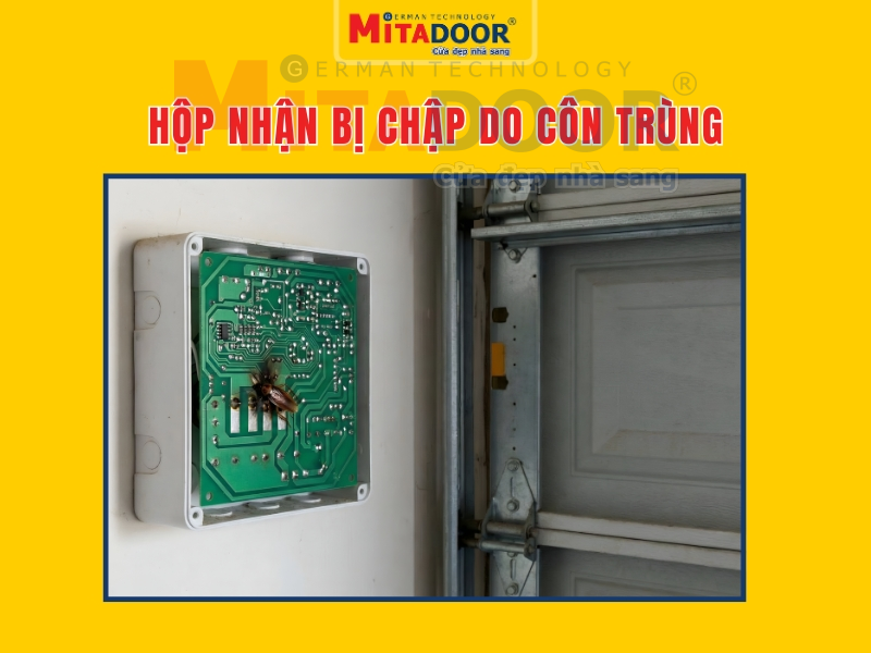 Hộp nhận bị chập do c&ocirc;n tr&ugrave;ng 