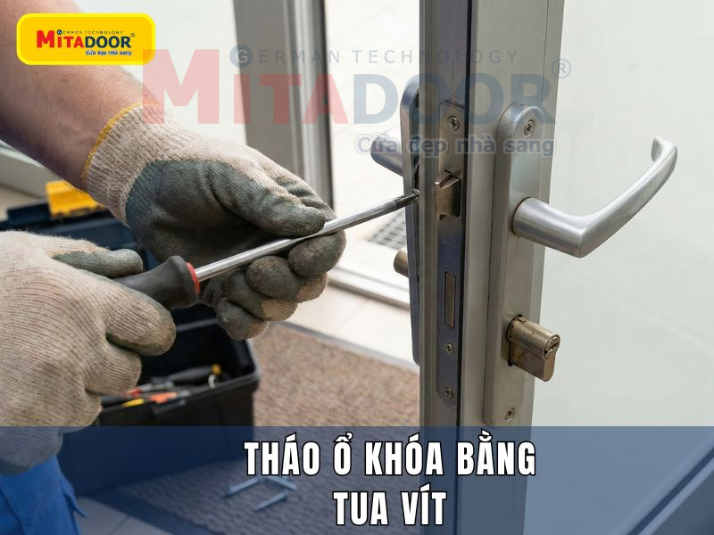 Thực hiện tháo ổ khóa bằng tua vít để gỡ bỏ ổ khóa bị hư Thực hiện tháo ổ khóa bằng tua vít để gỡ bỏ ổ khóa bị hư